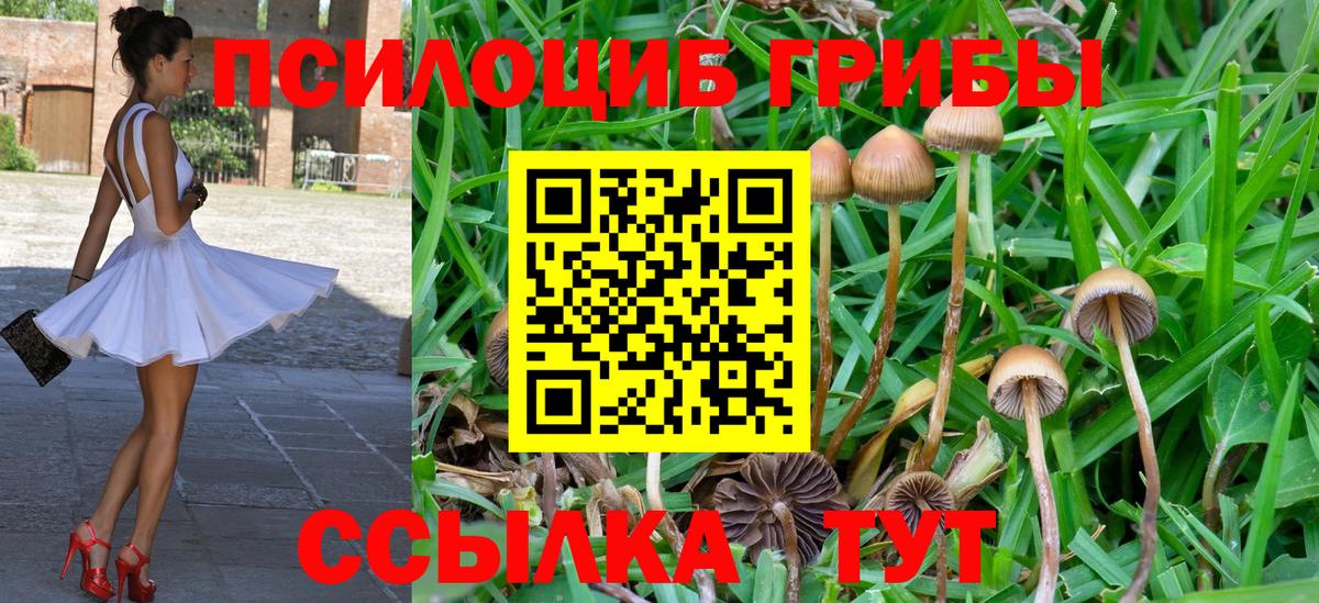 Псилоцибиновые грибы Psilocybe  Вход с VPN  наркота  Тула 