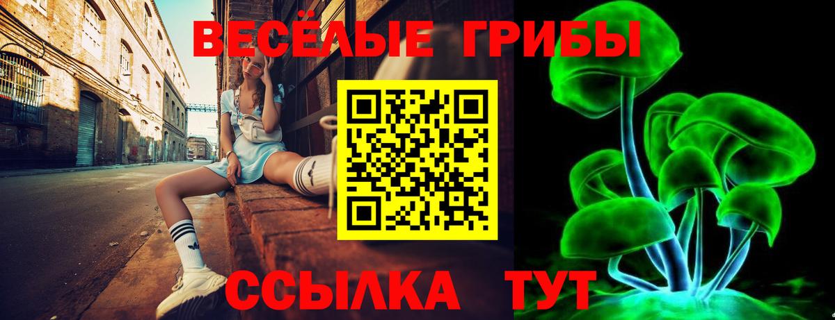 Галлюциногенные грибы мухоморы Тула